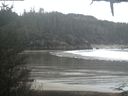 ./images/calvert/beach/20210203/beach20210203_123502.jpg