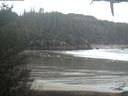 ./images/calvert/beach/20210203/beach20210203_124001.jpg