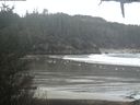 ./images/calvert/beach/20210203/beach20210203_125002.jpg