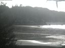 ./images/calvert/beach/20210205/beach20210205_135002.jpg