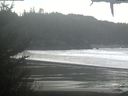 ./images/calvert/beach/20210206/beach20210206_112002.jpg