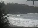 ./images/calvert/beach/20210207/beach20210207_085002.jpg