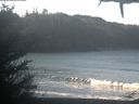 ./images/calvert/beach/20210208/beach20210208_100003.jpg