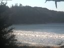 ./images/calvert/beach/20210208/beach20210208_104003.jpg
