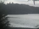 ./images/calvert/beach/20210210/beach20210210_111502.jpg