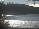 ./images/calvert/beach/20210210/beach20210210_130503.jpg