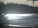 ./images/calvert/beach/20210211/beach20210211_132503.jpg