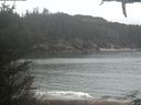 ./images/calvert/beach/20210212/beach20210212_120502.jpg