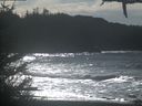 ./images/calvert/beach/20210213/beach20210213_130503.jpg