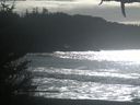 ./images/calvert/beach/20210213/beach20210213_140002.jpg