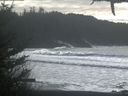 ./images/calvert/beach/20210213/beach20210213_151003.jpg