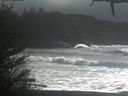 ./images/calvert/beach/20210214/beach20210214_143502.jpg