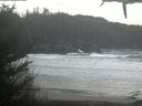 ./images/calvert/beach/20210216/beach20210216_142502.jpg