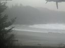 ./images/calvert/beach/20210221/beach20210221_111002.jpg