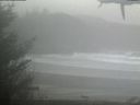 ./images/calvert/beach/20210221/beach20210221_112001.jpg