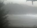./images/calvert/beach/20210221/beach20210221_114502.jpg