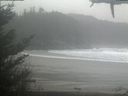 ./images/calvert/beach/20210221/beach20210221_115503.jpg