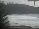 ./images/calvert/beach/20210226/beach20210226_104502.jpg