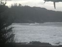 ./images/calvert/beach/20210226/beach20210226_111501.jpg