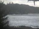 ./images/calvert/beach/20210226/beach20210226_112501.jpg