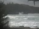 ./images/calvert/beach/20210226/beach20210226_115002.jpg