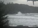 ./images/calvert/beach/20210226/beach20210226_115502.jpg