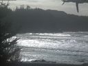 ./images/calvert/beach/20210226/beach20210226_124503.jpg