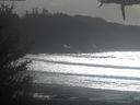 ./images/calvert/beach/20210226/beach20210226_140003.jpg