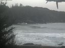 ./images/calvert/beach/20210227/beach20210227_121002.jpg