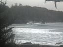 ./images/calvert/beach/20210227/beach20210227_124002.jpg