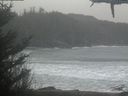./images/calvert/beach/20210228/beach20210228_145503.jpg