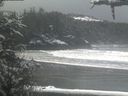 ./images/calvert/beach/20210301/beach20210301_111001.jpg