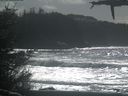 ./images/calvert/beach/20210301/beach20210301_133502.jpg