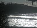 ./images/calvert/beach/20210301/beach20210301_134502.jpg