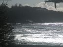 ./images/calvert/beach/20210301/beach20210301_135001.jpg