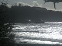 ./images/calvert/beach/20210301/beach20210301_135501.jpg