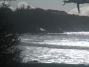 ./images/calvert/beach/20210301/beach20210301_140003.jpg