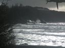 ./images/calvert/beach/20210301/beach20210301_141503.jpg