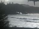 ./images/calvert/beach/20210301/beach20210301_144003.jpg