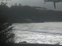 ./images/calvert/beach/20210301/beach20210301_144502.jpg