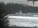 ./images/calvert/beach/20210301/beach20210301_145001.jpg