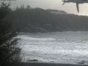 ./images/calvert/beach/20210301/beach20210301_145502.jpg