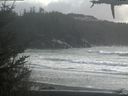 ./images/calvert/beach/20210301/beach20210301_155002.jpg