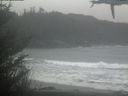 ./images/calvert/beach/20210302/beach20210302_140502.jpg