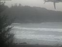 ./images/calvert/beach/20210302/beach20210302_144501.jpg