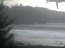 ./images/calvert/beach/20210304/beach20210304_155502.jpg