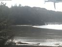 ./images/calvert/beach/20210305/beach20210305_123503.jpg