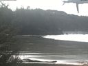 ./images/calvert/beach/20210305/beach20210305_125502.jpg