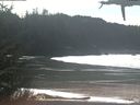 ./images/calvert/beach/20210307/beach20210307_131503.jpg