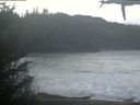 ./images/calvert/beach/20210308/beach20210308_090503.jpg